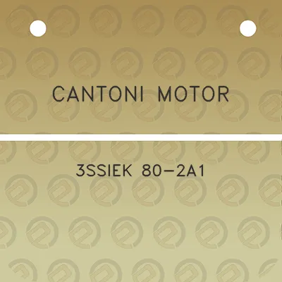 cantoni-motor-3ssiek-80-2a1