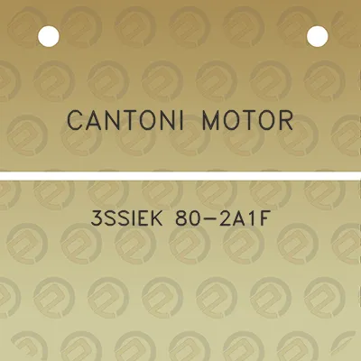 cantoni-motor-3ssiek-80-2a1f