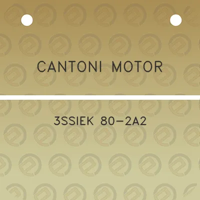 cantoni-motor-3ssiek-80-2a2