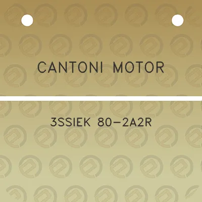 cantoni-motor-3ssiek-80-2a2r