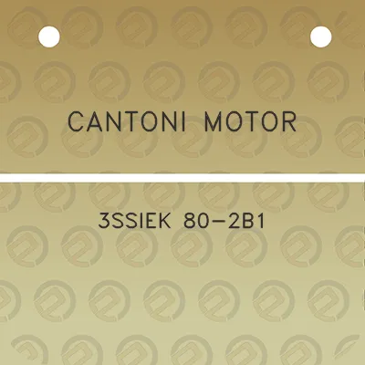 cantoni-motor-3ssiek-80-2b1