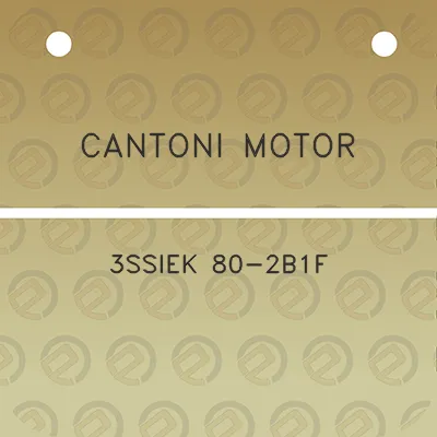 cantoni-motor-3ssiek-80-2b1f