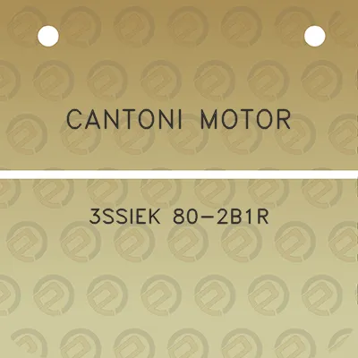 cantoni-motor-3ssiek-80-2b1r