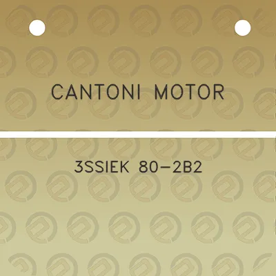 cantoni-motor-3ssiek-80-2b2