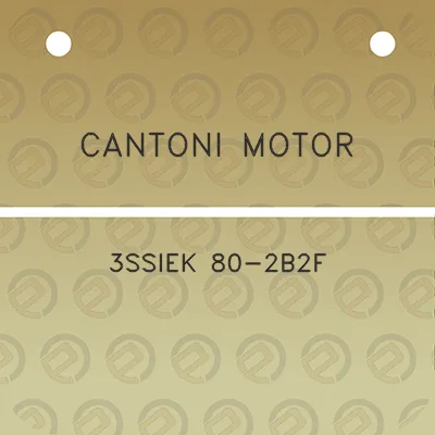 cantoni-motor-3ssiek-80-2b2f