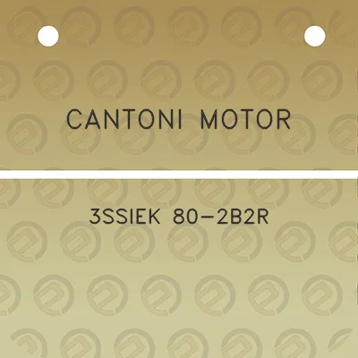 cantoni-motor-3ssiek-80-2b2r