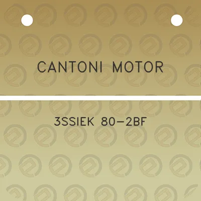 cantoni-motor-3ssiek-80-2bf