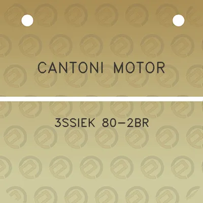 cantoni-motor-3ssiek-80-2br