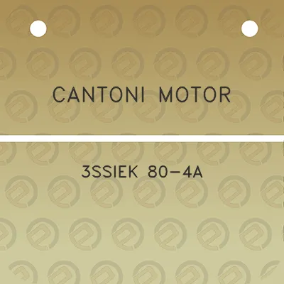 cantoni-motor-3ssiek-80-4a