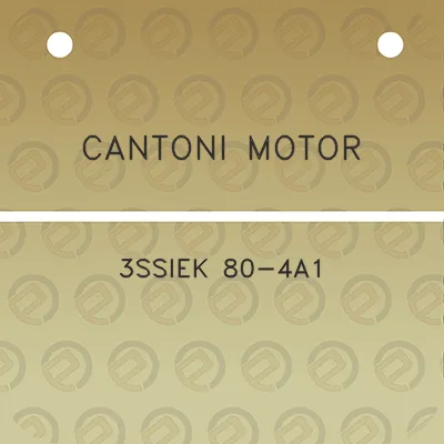 cantoni-motor-3ssiek-80-4a1