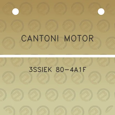 cantoni-motor-3ssiek-80-4a1f