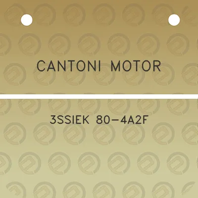 cantoni-motor-3ssiek-80-4a2f