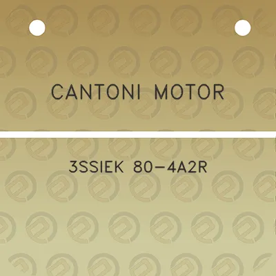 cantoni-motor-3ssiek-80-4a2r