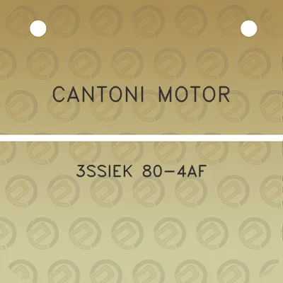 cantoni-motor-3ssiek-80-4af