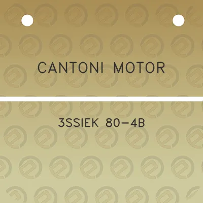 cantoni-motor-3ssiek-80-4b