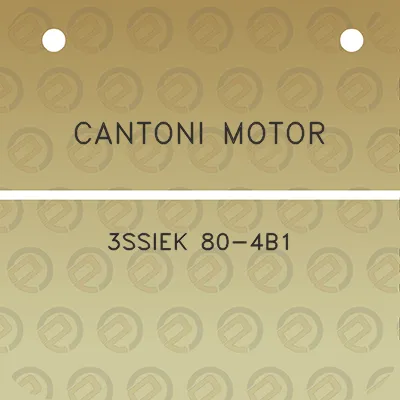 cantoni-motor-3ssiek-80-4b1