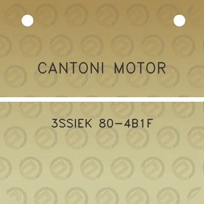 cantoni-motor-3ssiek-80-4b1f