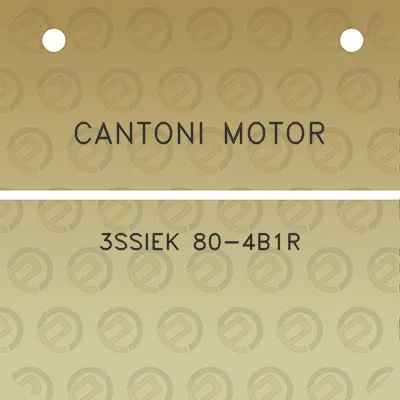 cantoni-motor-3ssiek-80-4b1r