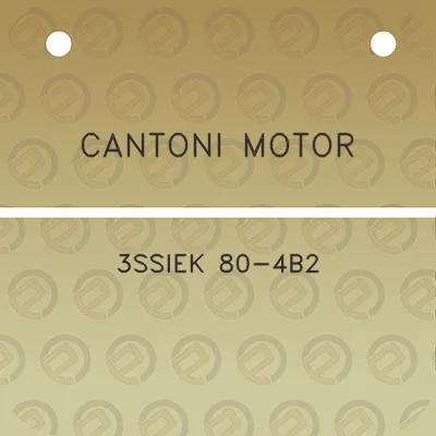 cantoni-motor-3ssiek-80-4b2