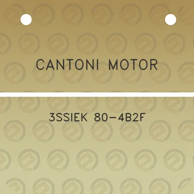 cantoni-motor-3ssiek-80-4b2f