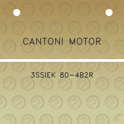 cantoni-motor-3ssiek-80-4b2r