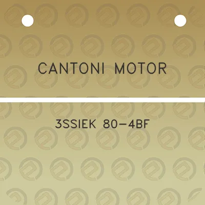 cantoni-motor-3ssiek-80-4bf