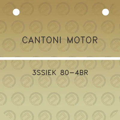 cantoni-motor-3ssiek-80-4br