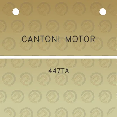 cantoni-motor-447ta