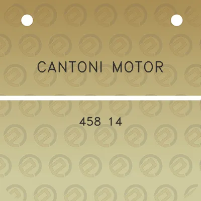 cantoni-motor-458-14