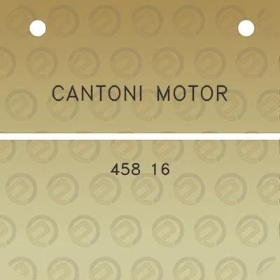 cantoni-motor-458-16