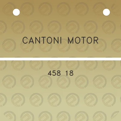 cantoni-motor-458-18