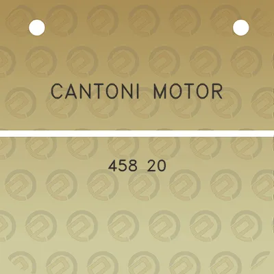 cantoni-motor-458-20