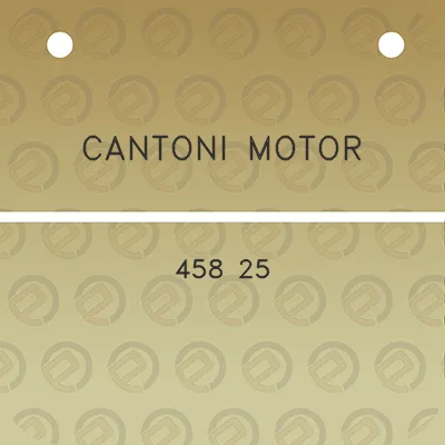 cantoni-motor-458-25