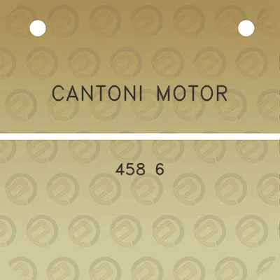 cantoni-motor-458-6