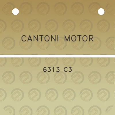 cantoni-motor-6313-c3