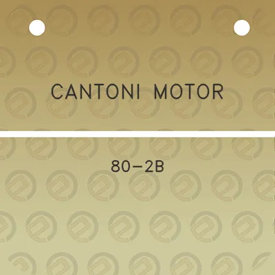 cantoni-motor-80-2b