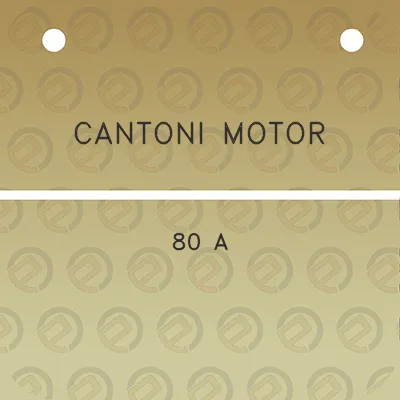 cantoni-motor-80-a