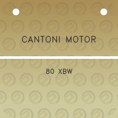 cantoni-motor-80-xbw