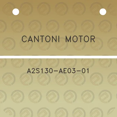 cantoni-motor-a2s130-ae03-01