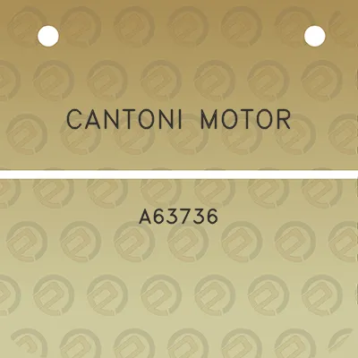 cantoni-motor-a63736