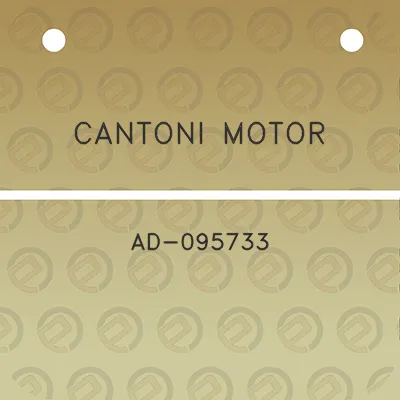 cantoni-motor-ad-095733