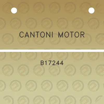 cantoni-motor-b17244