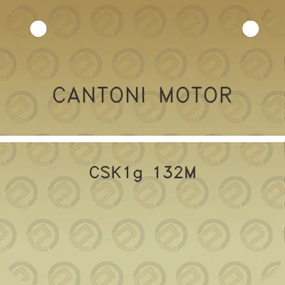 cantoni-motor-csk1g-132m