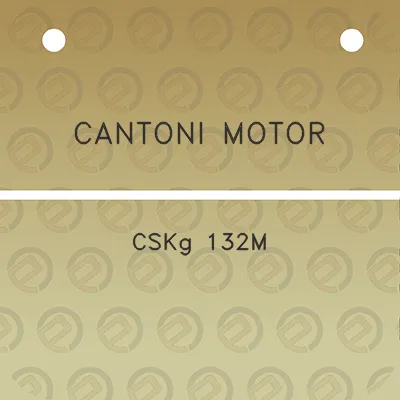 cantoni-motor-cskg-132m