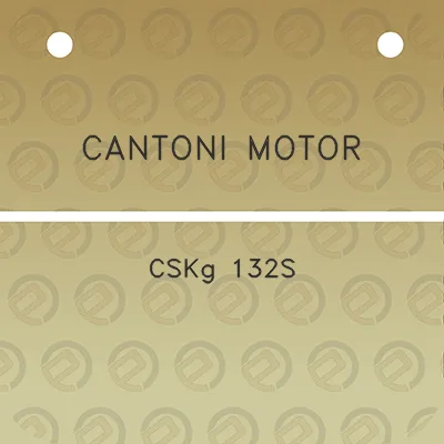 cantoni-motor-cskg-132s