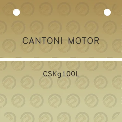 cantoni-motor-cskg100l