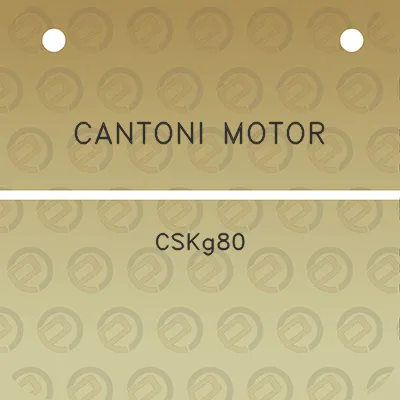 cantoni-motor-cskg80