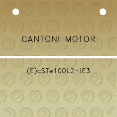 cantoni-motor-ecste100l2-ie3