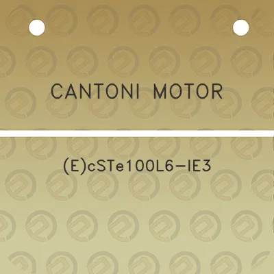 cantoni-motor-ecste100l6-ie3