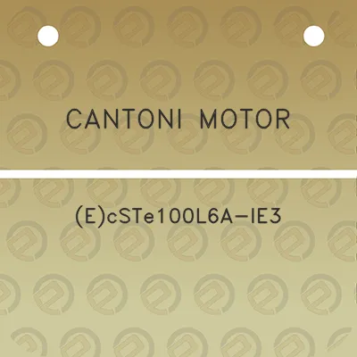 cantoni-motor-ecste100l6a-ie3